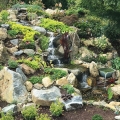 Winner: Best Pondless