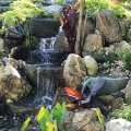 Winner: Best Pondless