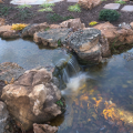 2021 Water Artisans Runners Up | Pondless Category