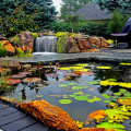 WINNER: FOUNTAINS AND FORMAL FEATURES