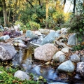 What a great way to utilize a woodland ridge — a meandering stream and cascading, rolling waterfalls.