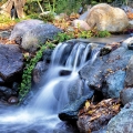 Sometimes less is more. Simple waterfalls were just what the doctor ordered so we could achieve the look we wanted.