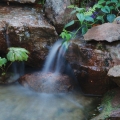 This is a 12-foot, very petite, intimate waterfall designed to be hidden and only discovered by those drawn by the soft, but higher-pitch sound of water falling onto a stone.