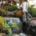 Wood elements can make a dramatic accent for your water features.