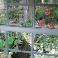 1804_AilingPond_5