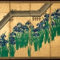 1803irislaevigata004