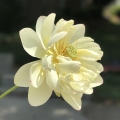 0318MrsPDS001