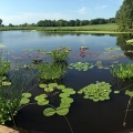 0318PowellGardens009