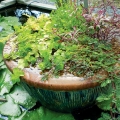 Small water gardens can be retrofitted with a pottery gravel bog.
