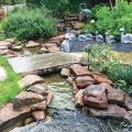 The headwaters of this stream function as the filter for this pond.