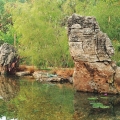 Scholar rocks are extremely weather- and/or water-worn rocks that are positioned in key focal locations within the garden.