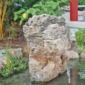 Scholar rocks are typically vertical, top-heavy, weathered rocks, strategically placed in the garden.