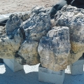 Character boulders are boulders that have unique shapes and weathering patterns that create strong visual interest.