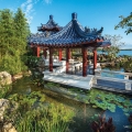 The refugium in the foreground is a calm, shallow, up-flow aquatic filtration pond that is connected to the pond via balance pipes. The refugium will be kept free of koi.