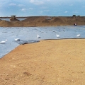 This PVC pond liner was installed by a professional liner company.