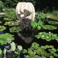 Denver Botanic Gardens