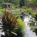 Denver Botanic Gardens