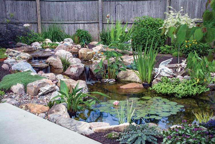 Potted aquatic plants sit nicely on shelves and help naturalize the pond.