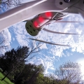 The photo of the underside of the drone was taken during our first test flight on my property, during which the drone climbed to over 1,200 feet.