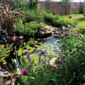 Color! Color! Color! This is a relatively small pond, but the colors of the perennials and the annuals make it appear larger than life.