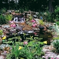 Landscape design 101: Be sure that the plants in the foreground do not block the focal point behind them. Here dwarf daylilies and lilyturf will stay low so that the view of the waterfall and pond are not obscure.