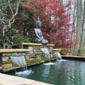 2005gallpondcon002