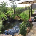 Living the Pond Life!