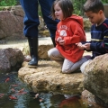 Living the Pond Life!