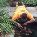 Living the Pond Life!