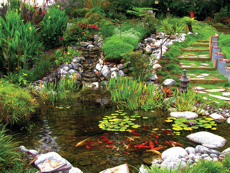 Water gardens can provide nutrients for veggie gardens, and these recycle back into the pond.
