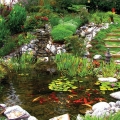 Water gardens can provide nutrients for veggie gardens, and these recycle back into the pond.