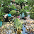 The Greater Kansas City Water Garden Society