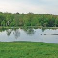 This swimming pond is in upper New York. It is now two years old, and the shoreline plants are just emerging from an extreme winter. This pond has an architectural peninsula that can be seen extending out into the pond a considerable distance, with lawn to the edge and a small island. The pond is approximately 1.25 acres and 9 feet at the deepest point.