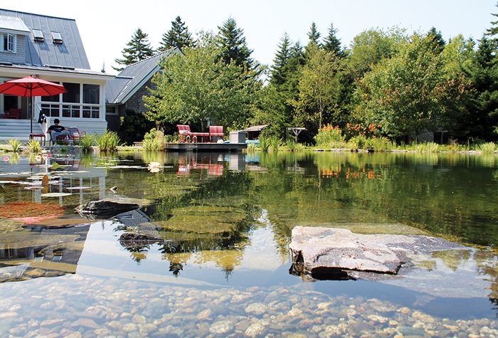 An NSP in Maine with naturalistic, pondlike elements (Photo courtesy of BioNova Natural Pools and Rin Robyn Pools).