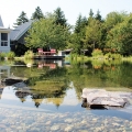 An NSP in Maine with naturalistic, pondlike elements (Photo courtesy of BioNova Natural Pools and Rin Robyn Pools).