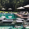 A traditional NSP in Connecticut with bluestone islands and adjacent regeneration zone (Photo courtesy of Freddy's Landscape Co. and Artemis Landscape Architects).