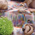 Photos by Dan Lenner.