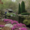 This gorgeous backyard makes excellent use of color during the off-season with a simple blue globe. The pink flowers coordinate with the spring tree blossoms and establish a serene, calm mood. Photo courtesy of Kelly Billing.