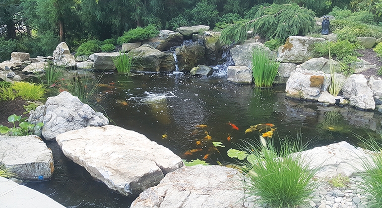 This extreme pond "makeover" includes a 14-by-30-foot, koi mansion with 5 feet of depth — plenty of volume for its new residents.