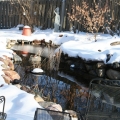Winter Care from Jamie Beyer