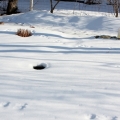 Winter Care from Jamie Beyer