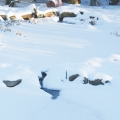 Winter Care from Jamie Beyer