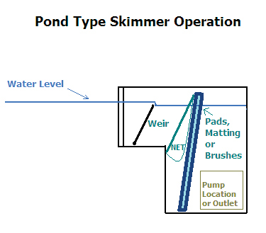 Right Pond Skimmer