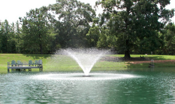 This high-volume fountain provides aeration and breaks up the surface of the water, keeping this fishing pond looking great.
