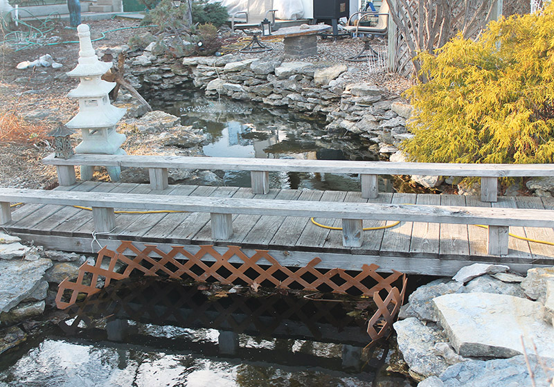 Fencing was installed along the bridge to prevent fish from swimming up the shut-down stream/channel.