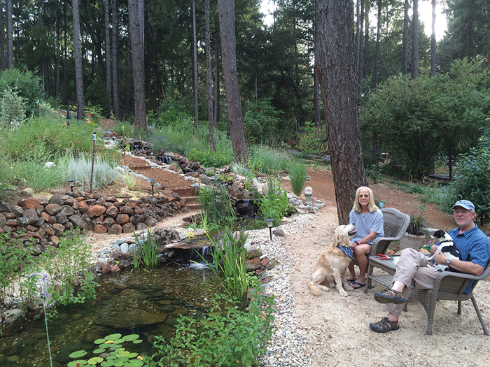 Pond owners Paul and Lynn love their new backyard wildlife habitat, where they quiz each other on the creatures they hear and see.