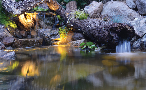 Creative waterscape design can create lush garden environments that mask extensive water storage.