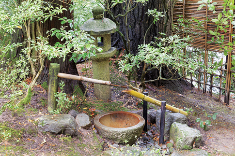 Imagine if this serene fountain actually collected, and stored, enough rainwater to meet all the gardening needs of the owners! 