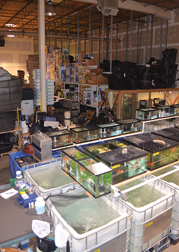 Our 5,400-square-foot warehouse has a select area for our fish storage vats and tanks.