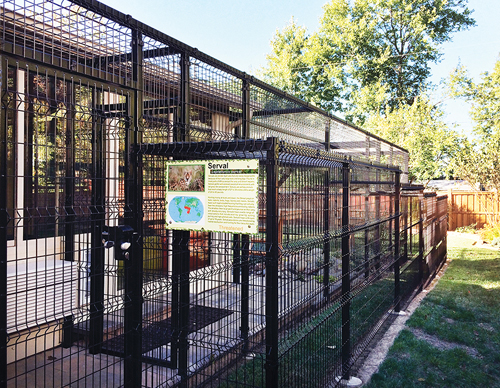 Mia's enclosure is quite nice, measuring 26 by 24 feet outdoors with an attached 14-by-14-foot indoor sunroom. 